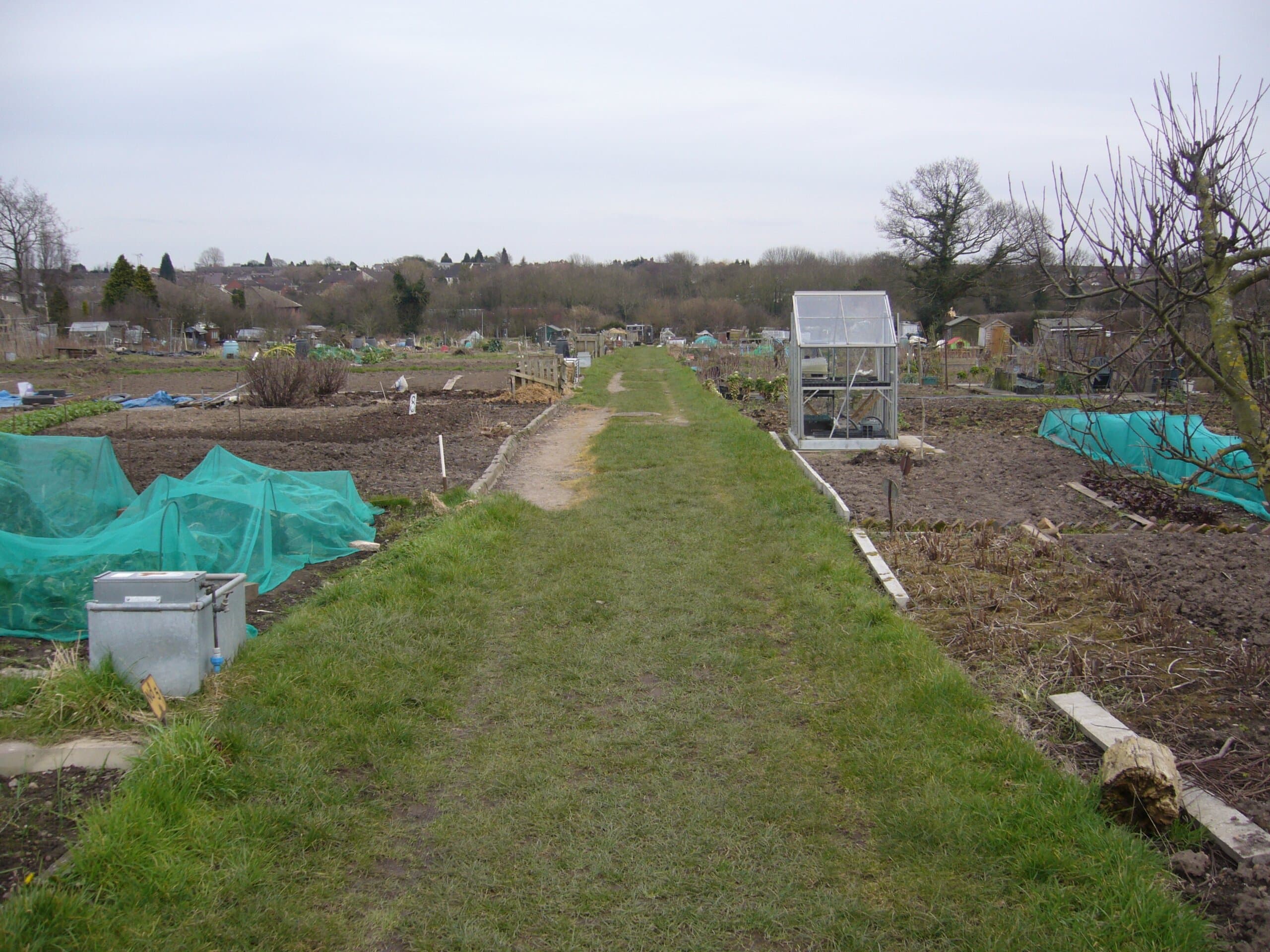 On main path looking down toward Irelands Stables
